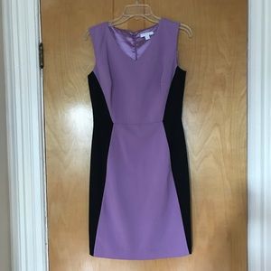 New York & Company purple and black sheath dress